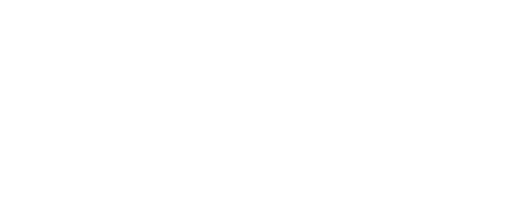 logo light